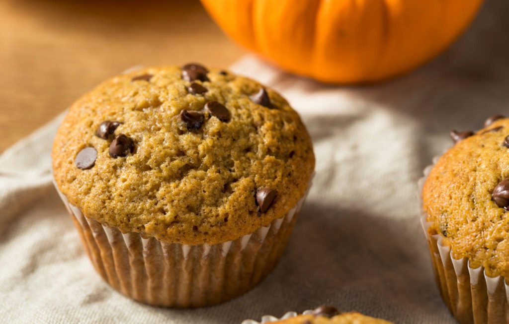 Pumpkin Chocolate Chip Muffins Recipe