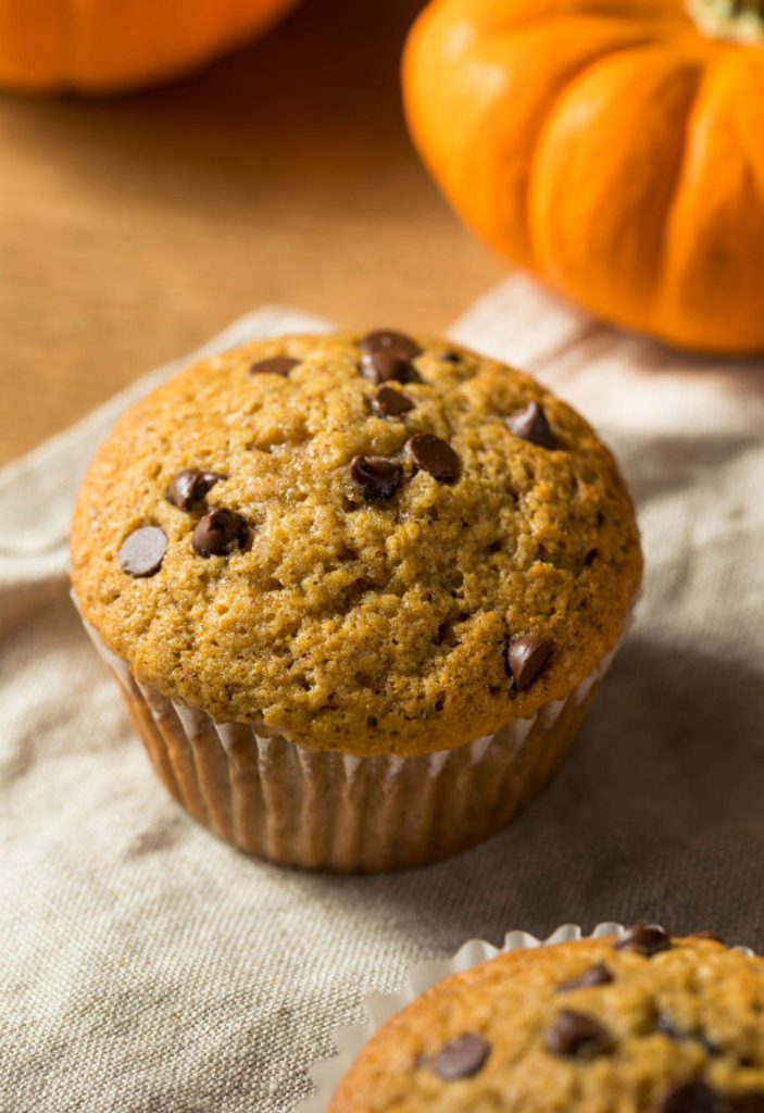 Pumpkin Chocolate Chip Muffins Recipe